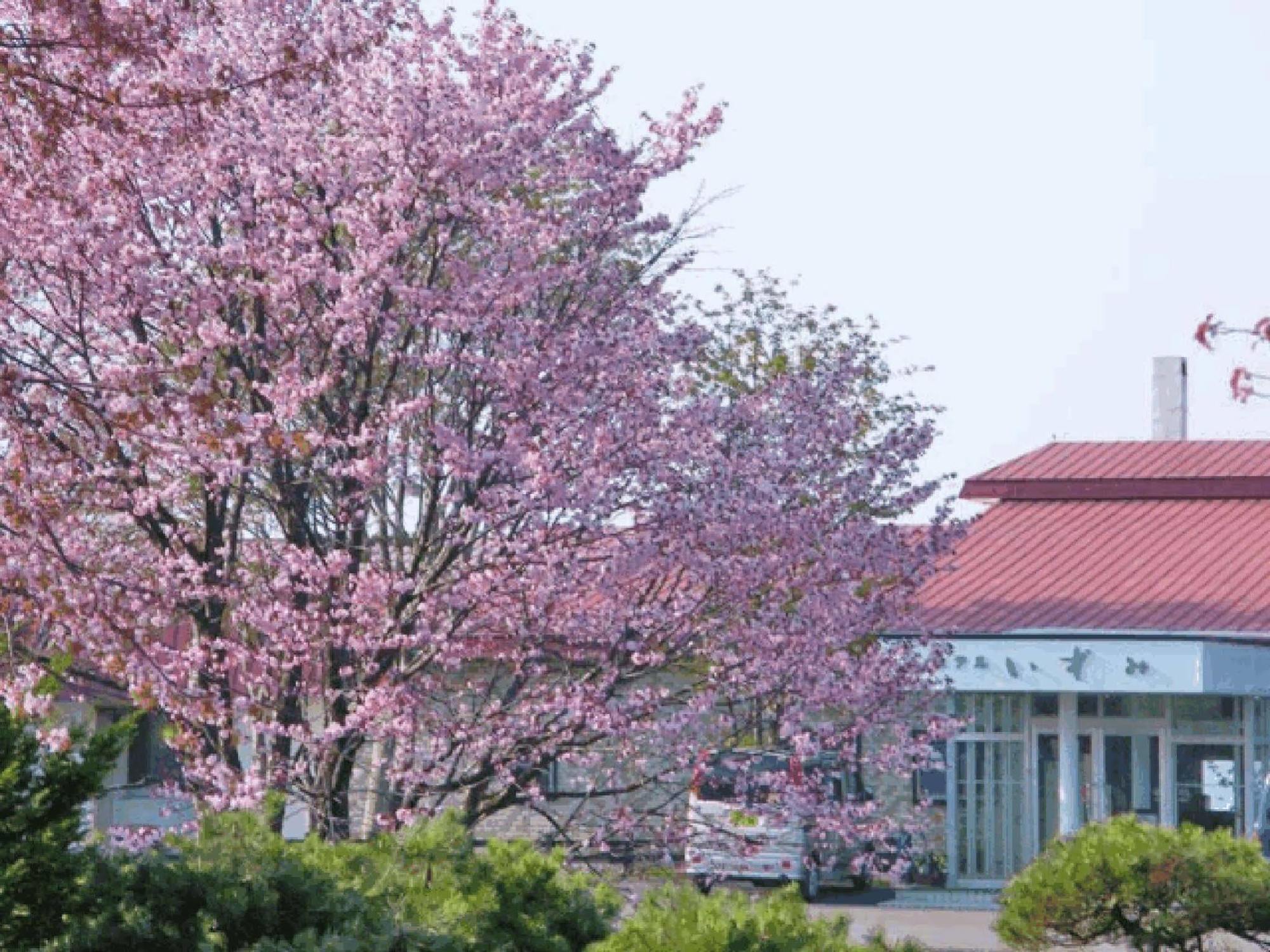 Hotel Izumi Siraoi Kültér fotó
